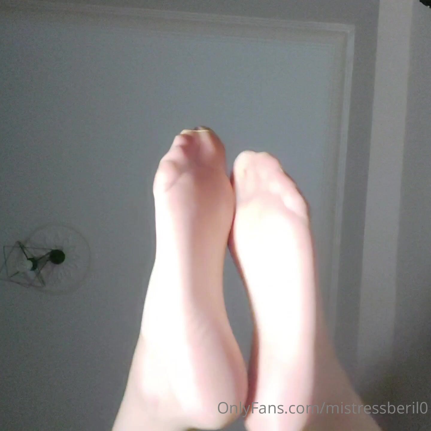 Smell my sock then lick it